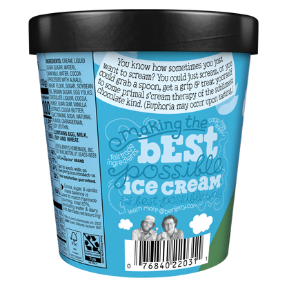 Ben & Jerry's Chocolate Therapy Ice Cream 16oz