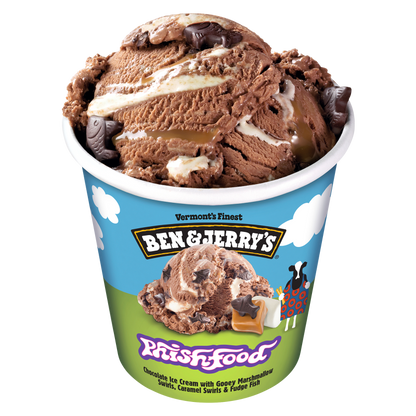 Ben & Jerry's Phish Food Ice Cream 16oz