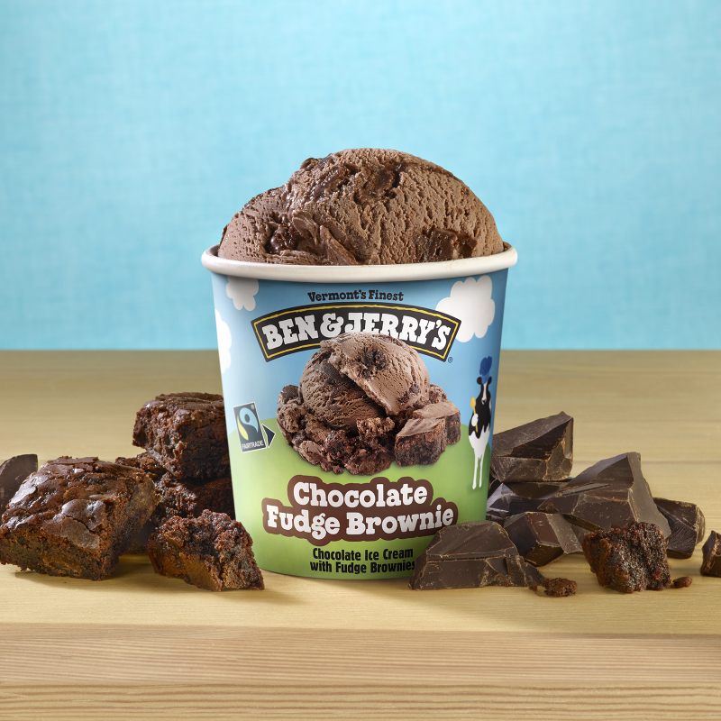 Ben Jerry s Chocolate Fudge Brownie Ice Cream 16oz The Ice