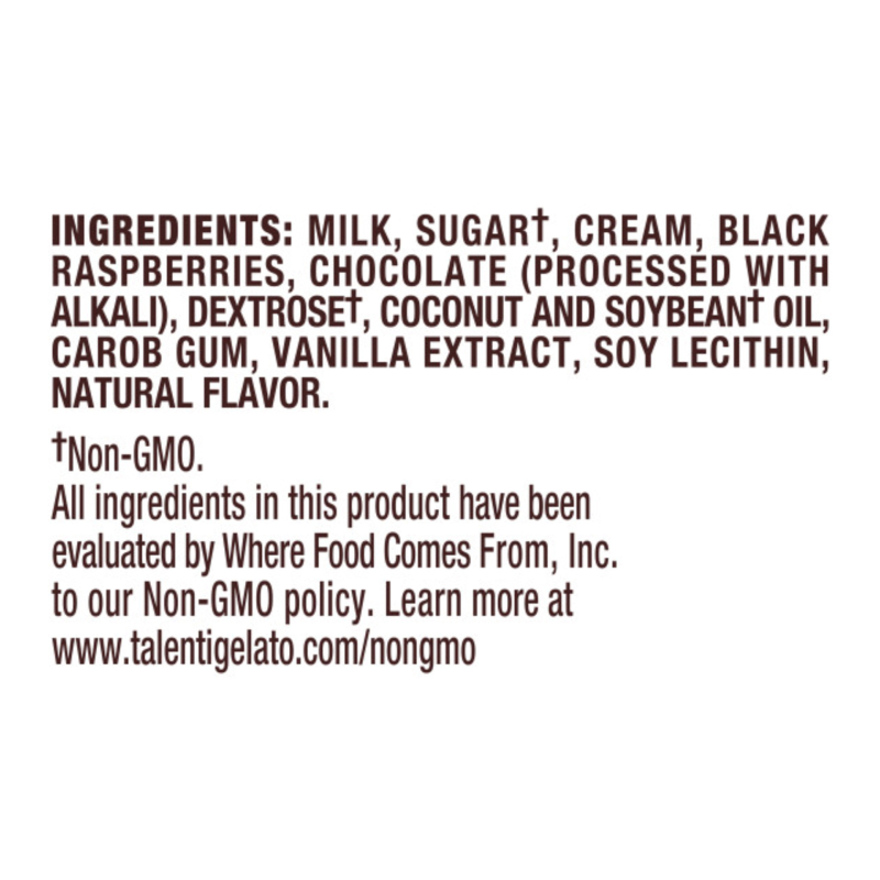 Talenti Black Raspberry Chocolate Chip Gelato Pint – The Ice Cream Shop US
