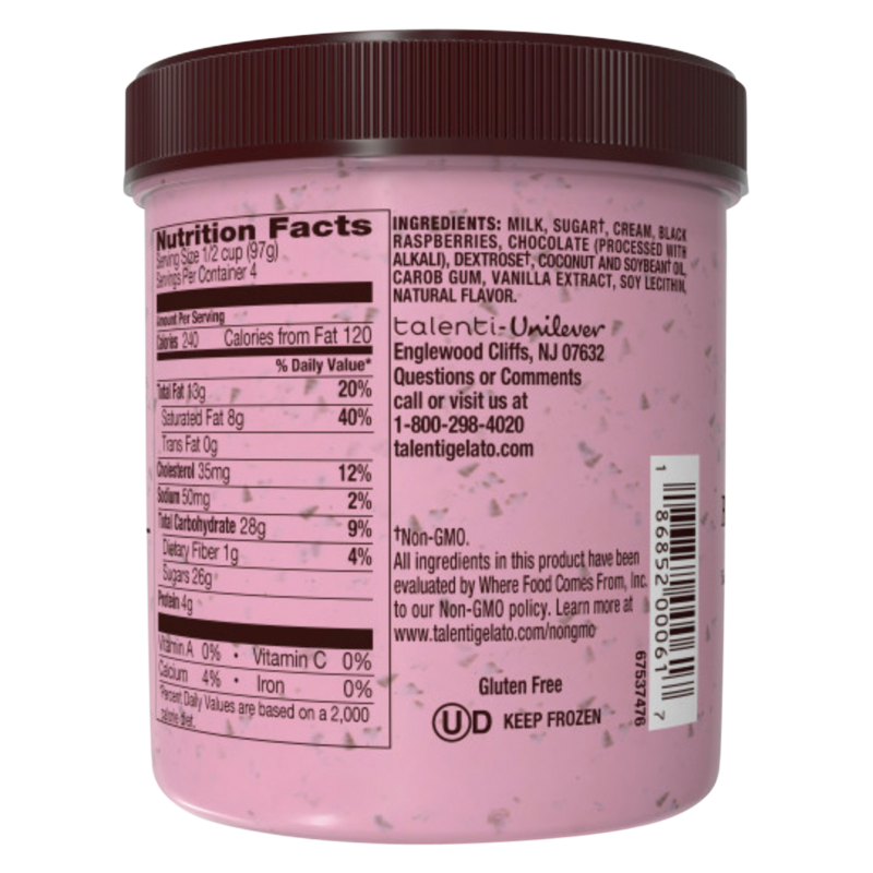 Talenti Black Raspberry Chocolate Chip Gelato Pint – The Ice Cream Shop US